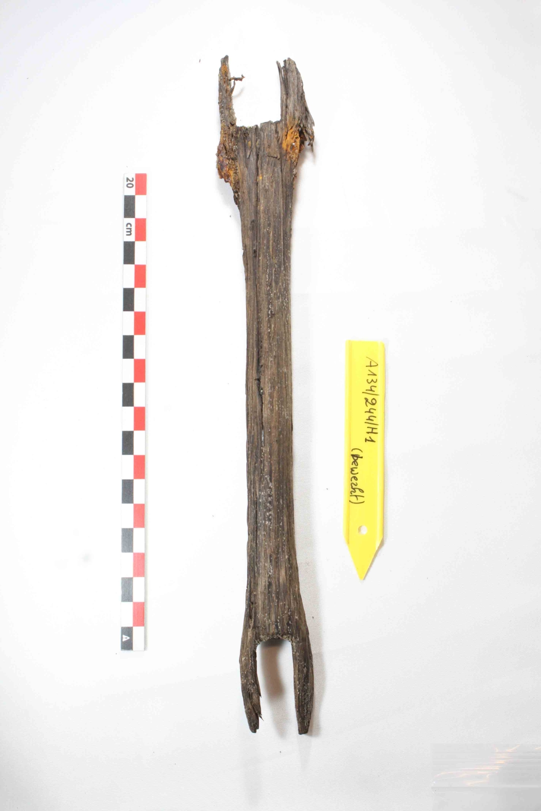 File ANTSTAD V1 A134-S244-H1 (4).jpg